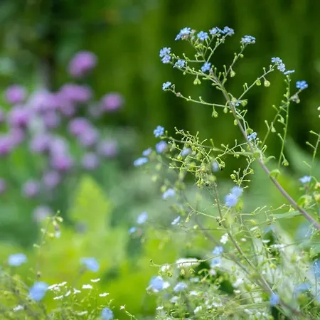 Miejski Ogrod דירה