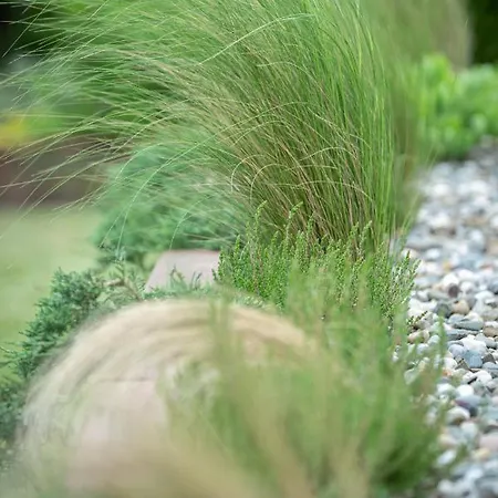 Miejski Ogrod דירה *