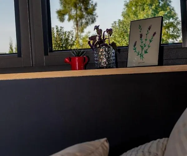 Apartmán Miejski Ogrod *