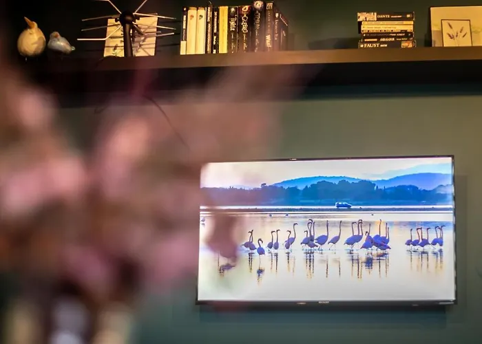 Apartament Miejski Ogród