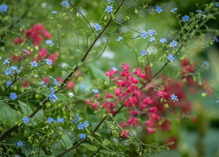 Miejski Ogrod Apartmán *