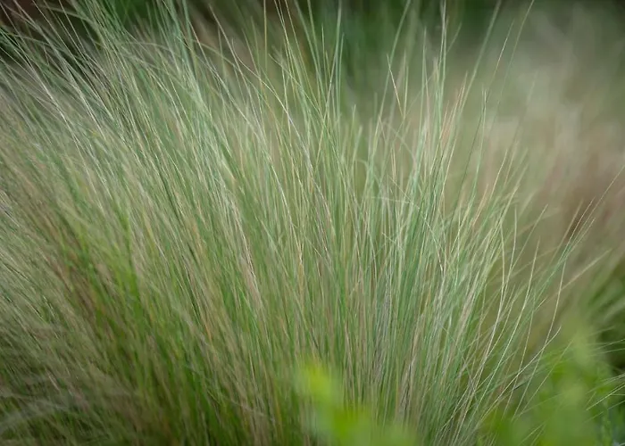 Miejski Ogród * Bielsko-Biała