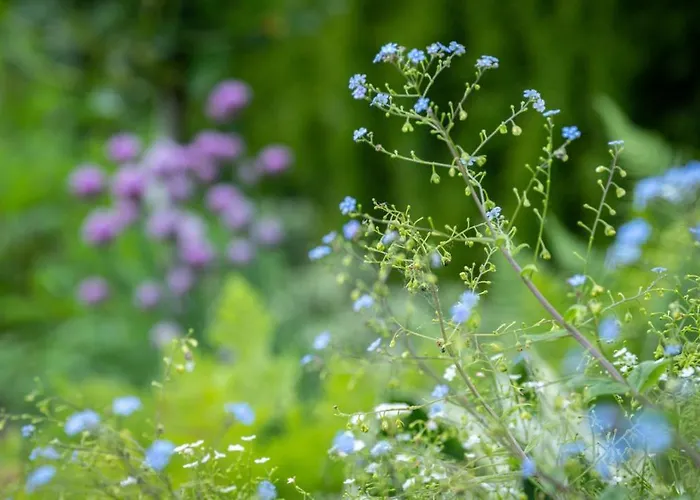 Miejski Ogrod Apartmán