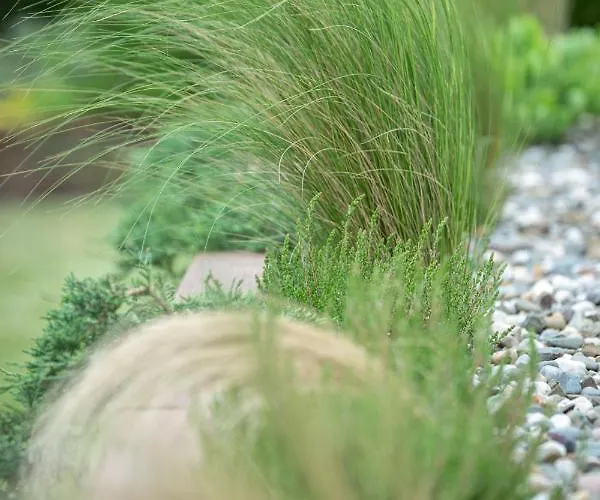 Miejski Ogrod Apartmán *